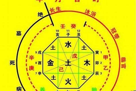 八字命卦|生辰八字算命、五行喜用神查询（免费测算）